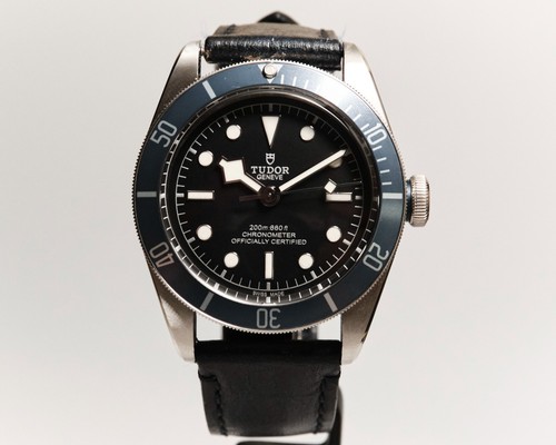 Tudor black bay heritage - tudor,