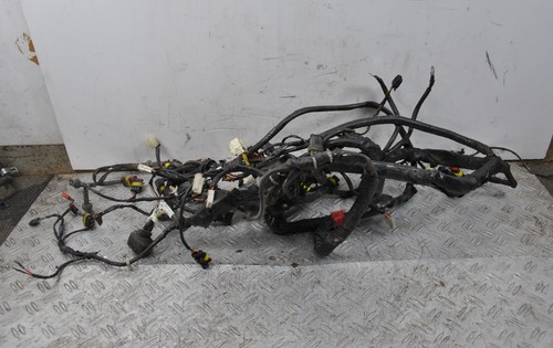 56824 cablaggio impianto - 56824,