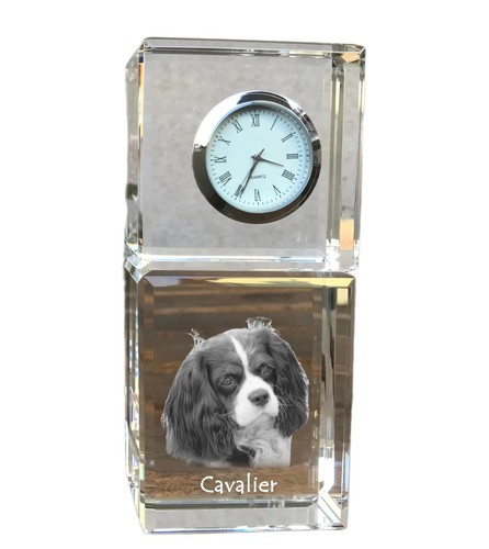 Cavalier king charles spaniel - cavalier,