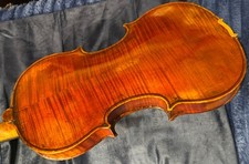 Vecchia volpe! Violino