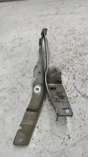 Cerniera cofano anteriore - cerniera,