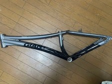 Giant trial comp Giant trial