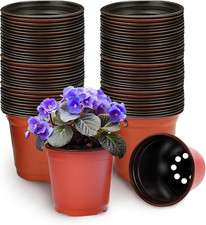 100 Pezzi Vasi per Piante in