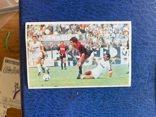 Edis calcio stadio - il,