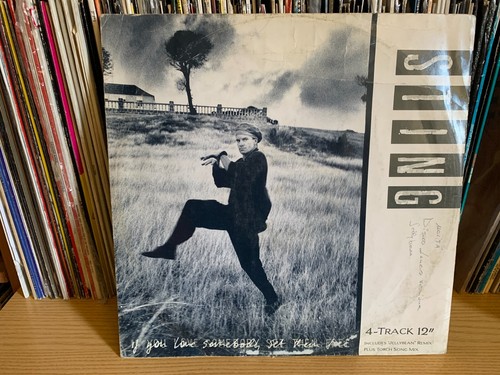 Sting you love somebody - if,