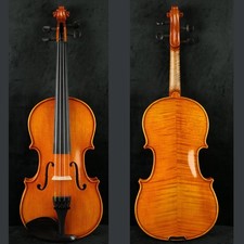 Incredibile violino fatto a