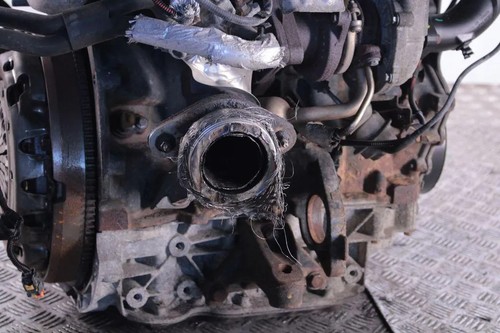 Motore nissan primastar furgon - motore,