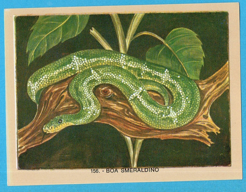 Naturama lampo 1968 figurina - naturama-lampo, 1968-figurina