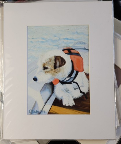Jack parson russell cane - ,