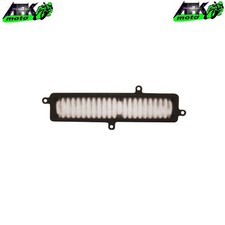 Filtro Aria Suzuki Burgman UH