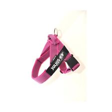 Pettorina imbragatura cane