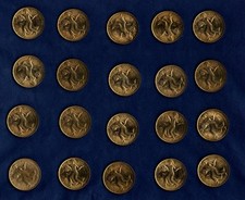 ITALIA 1981 LIRE 200 FAO