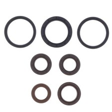 SERIE PARAOLIO MOTORE PIAGGIO