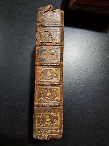 Abrégé anatomie du - abrégé, l'anatomie