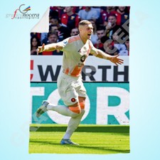 Plaid in Pile Artem Dovbyk