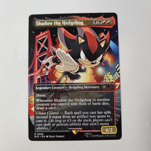 Shadow the hedgehog borderless - hedgehog,
