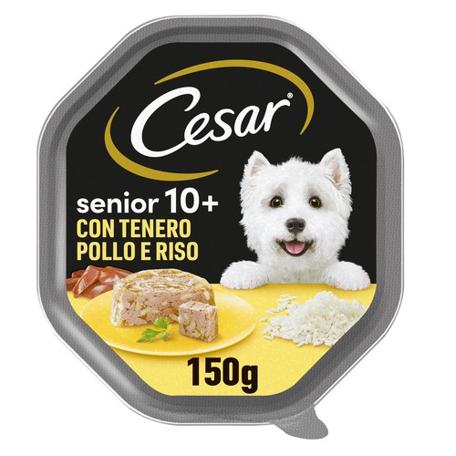 Cibo umido cane senior pollo - cibo,