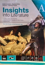 Insights into literature. Volume A - DeaScuola CibedBlackcat- 9788853014917