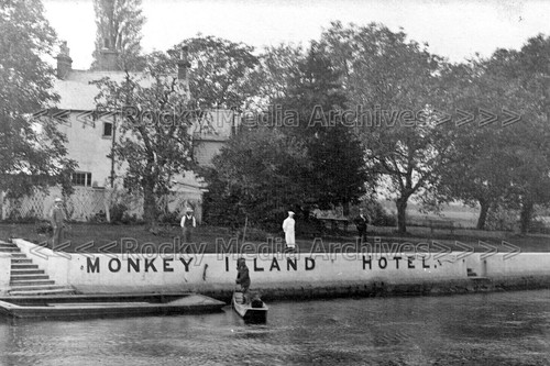 Guu monkey island hotel - monkey,