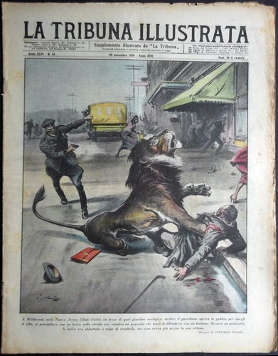 Tribuna illustrata 1938 47 - 1938, #47