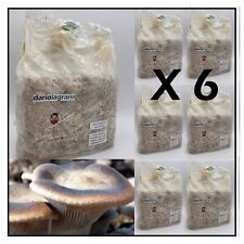 KIT 6 X SUBSTRATO DI FUNGO CARDONCELLO BALLETTA COLTIVAZIONE FUNGHI CARDONCELLI