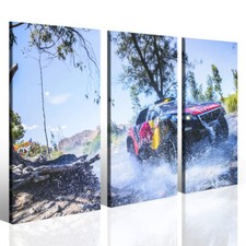 Canvas Print - Dakar Rally