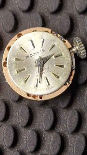 Felsa monvis - (21),