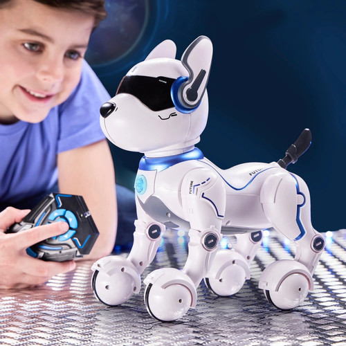 Robot radiocomandato