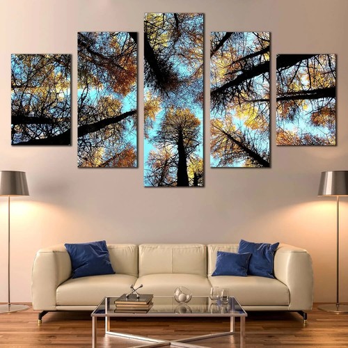 Alberi foresta cielo - alberi,