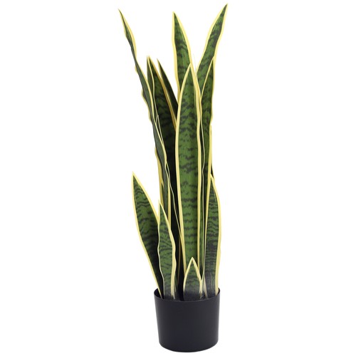 Outsunny sanseveria - outsunny,