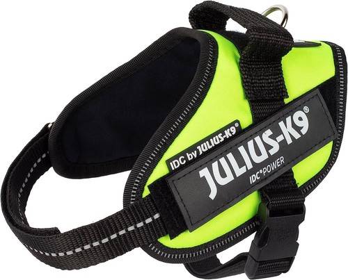 Julius pettorina idc - julius,