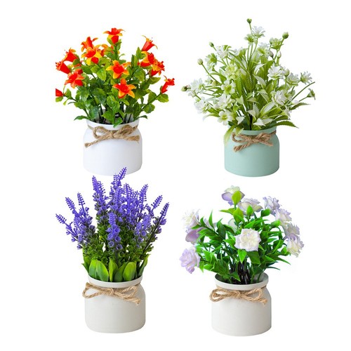 Confezione piante fiori - confezione,