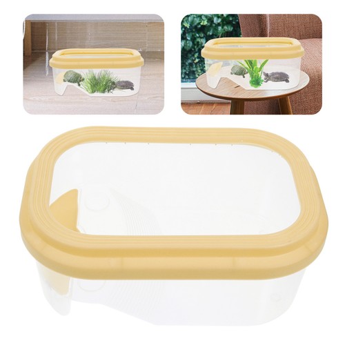 Vaschetta tartarughe - ,