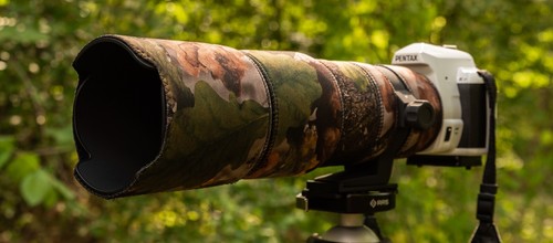Sigma 100 300mm dg hsm - ex,