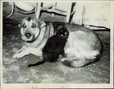 1961 stampa foto - e, un