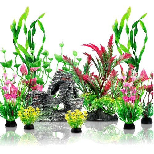 Decorazioni acquario piante