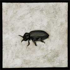 Audio Cd Gianni Maroccolo -