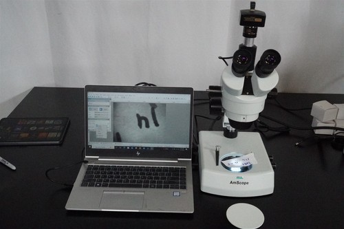 Amscope series - amscope,