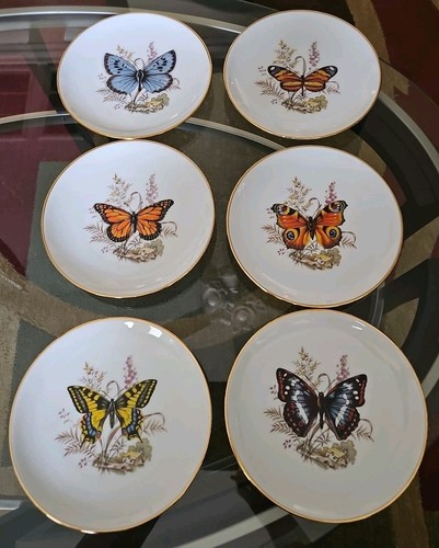 Piatti porcellana butterfly - 6,