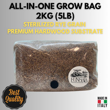 Grow Bag All-In-One Funghi |
