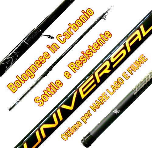 Canna bolognese metri in - 7,