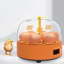 Incubatrice per uova - 6,
