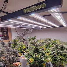 Barra luminosa led crescita