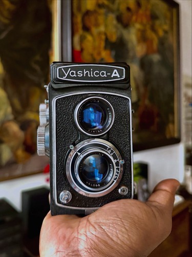 Yashica tlr 6x6 medio - 6x6,