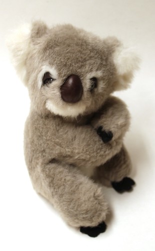 Peluche orso koala - 6, pollici