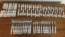 Set 60 Pezzi NIKKO Acciaio Inox 18/10, Servizio Posate Vacanze per 12 Ottime Condizioni