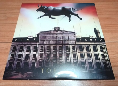 Pink floyd torino 1994 - pink,