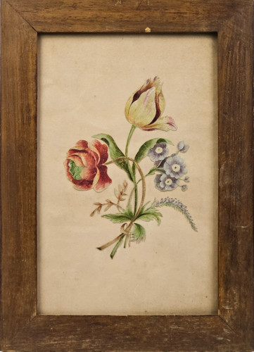 Stampa antica botanica - stampa,
