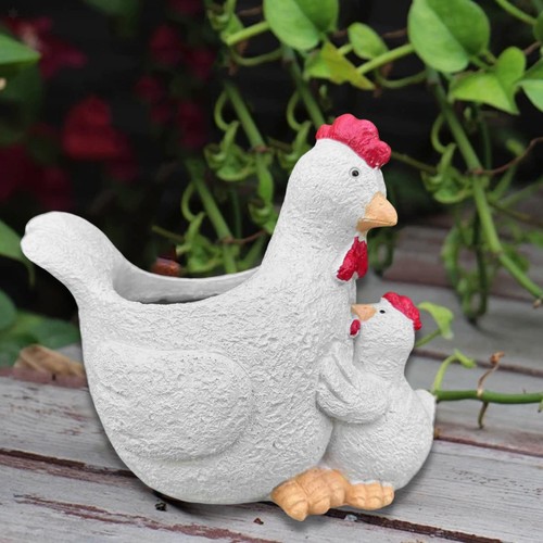 Piantatrice pollo pentola - di,
