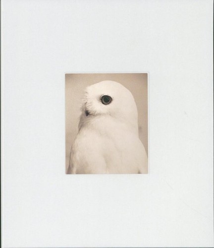Libro fotografico masao - libro,